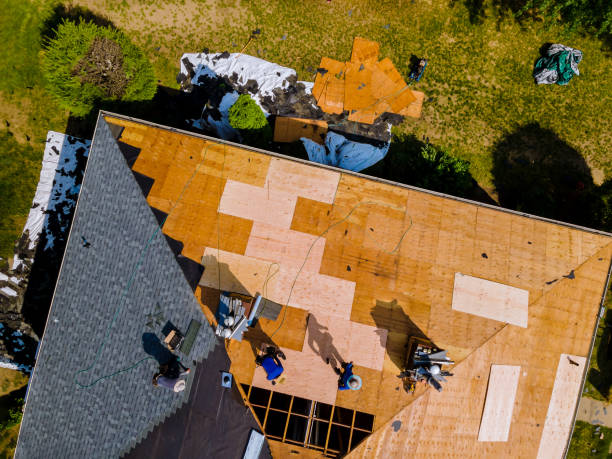 Best Roof Repair Services  in Pleasureville, KY